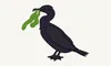 SEO-specialist_Liverpool